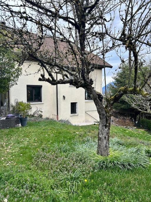 Appartement 3 Chambres A Annecy Dans Maison Pour 2 A 8 Personnes Bagian luar foto